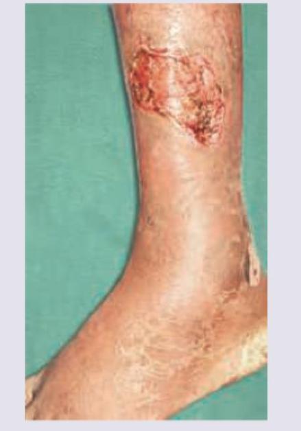 Image for question 1