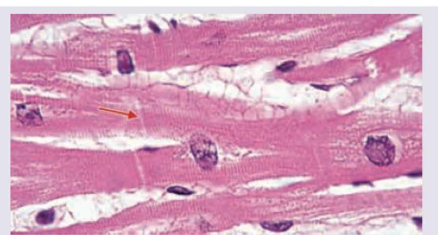 Image for question 158