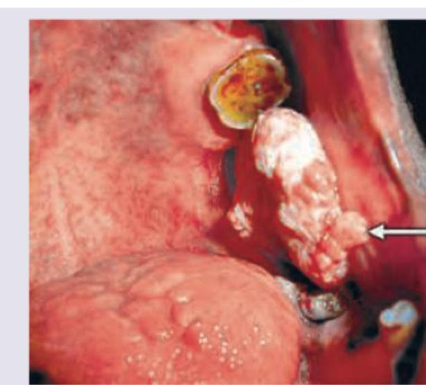 Image for question 10