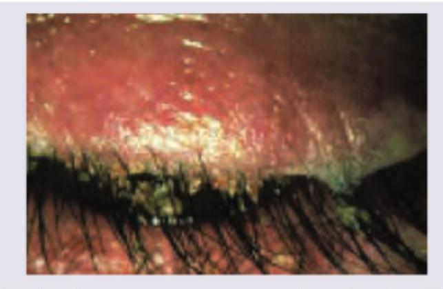 Image for question 36