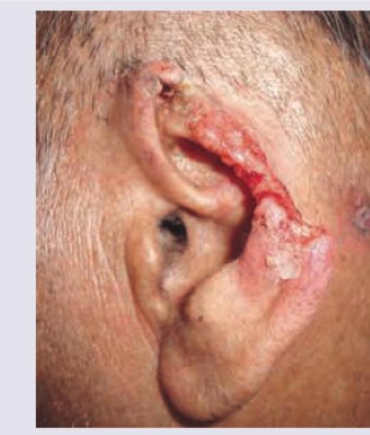 Image for question 204