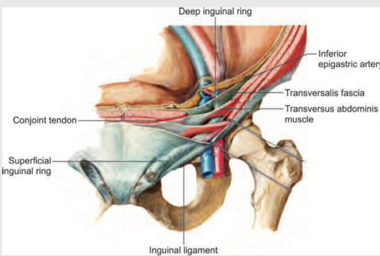 Image for question 103