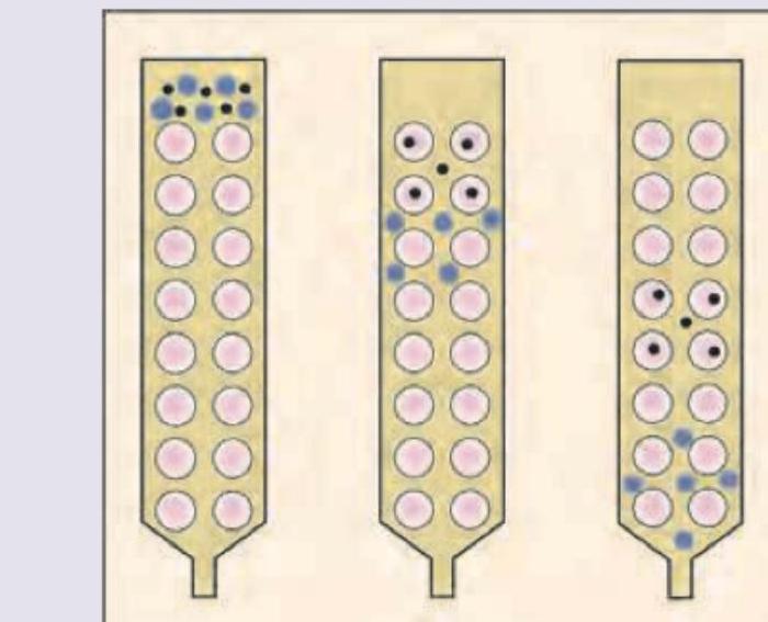 Image for question 197