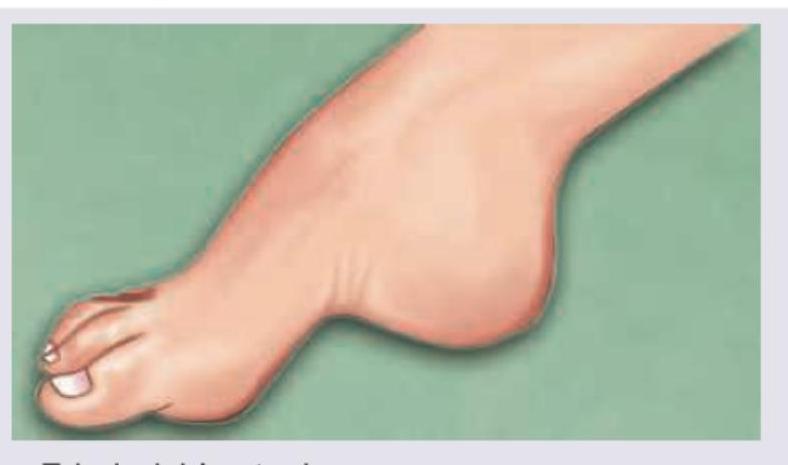 Image for question 5