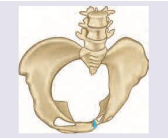 Image for question 10