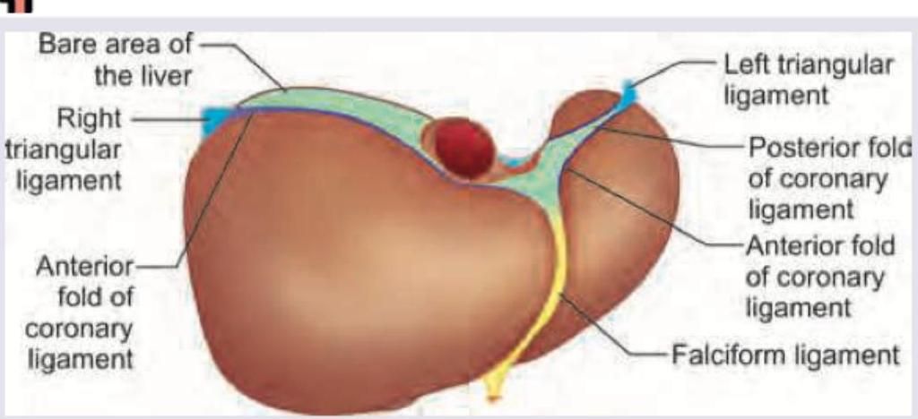 Image for question 707