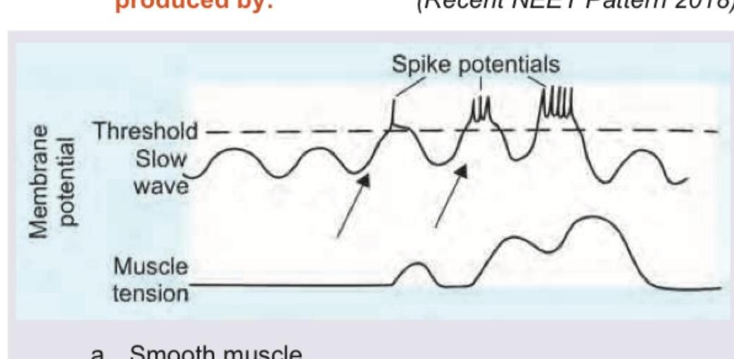 Image for question 6