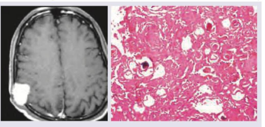 Image for question 1