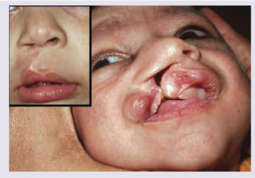 Image for question 8