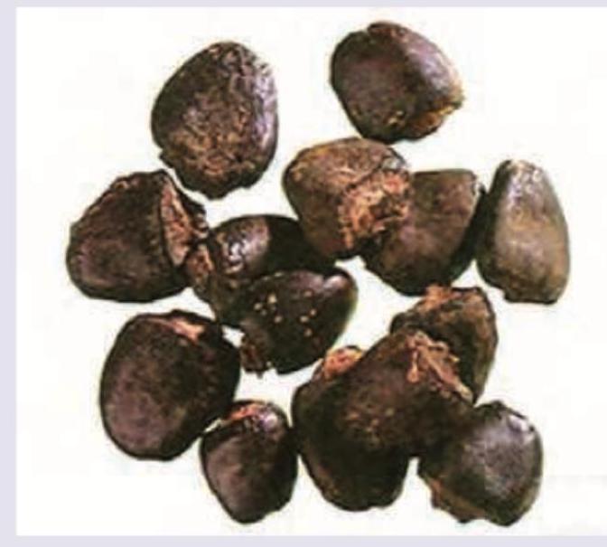 Image for question 7