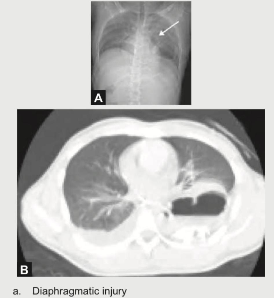 Image for question 27