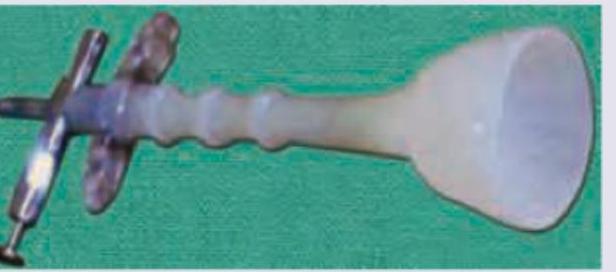 Image for question 13