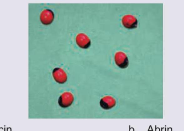 Image for question 773