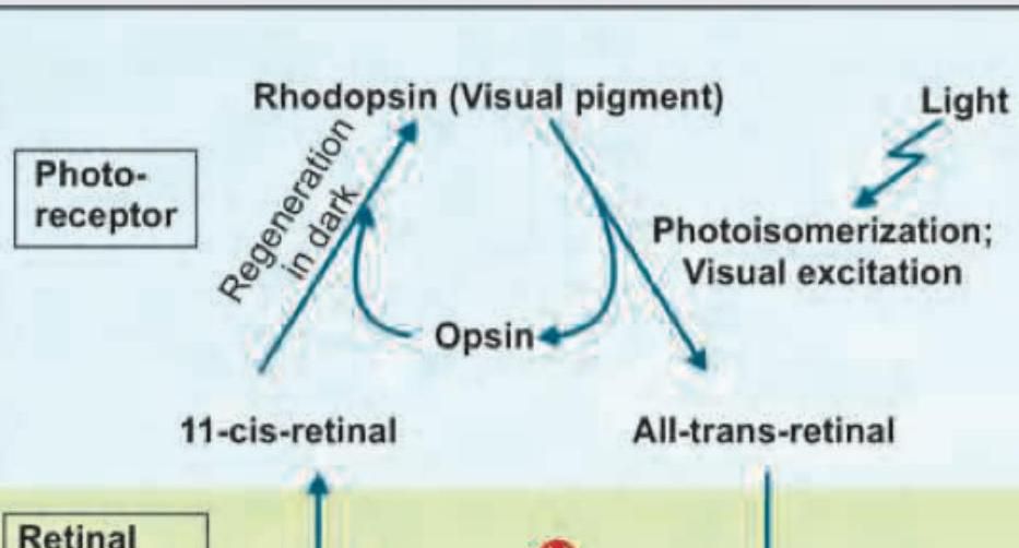 Image for question 9