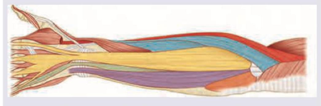 Image for question 7