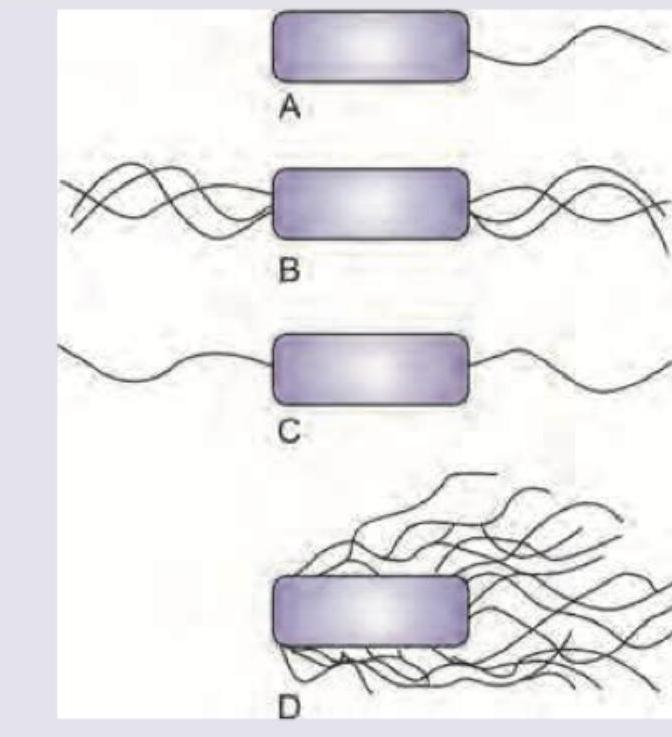 Image for question 179
