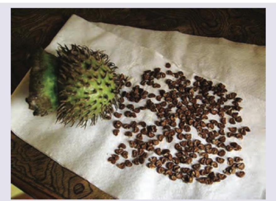 Image for question 8