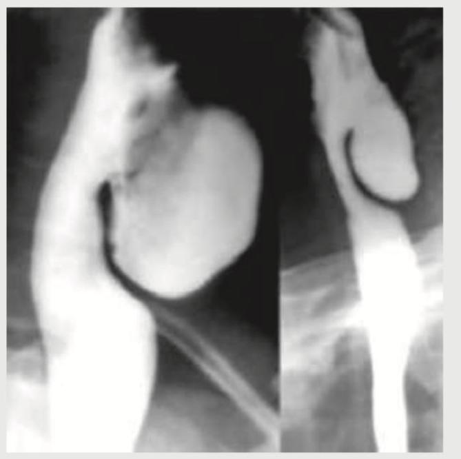 Image for question 58