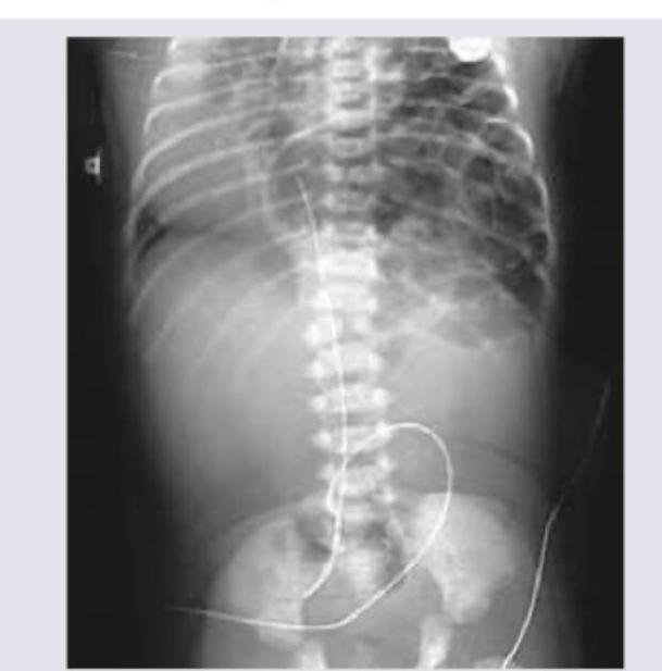 Image for question 58