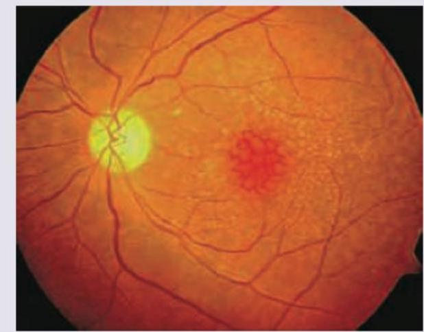 Image for question 10