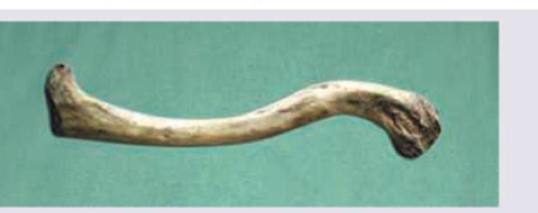 Image for question 7