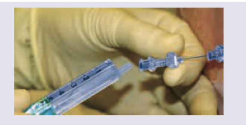 Image for question 6