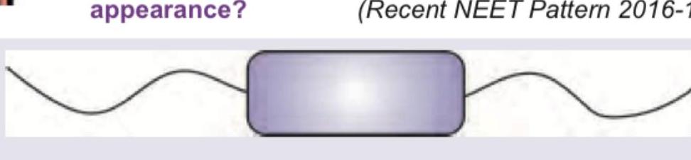 Image for question 178