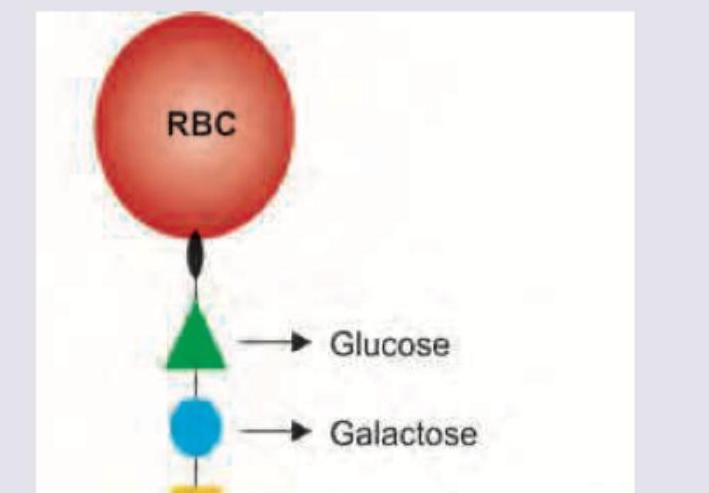 Image for question 7