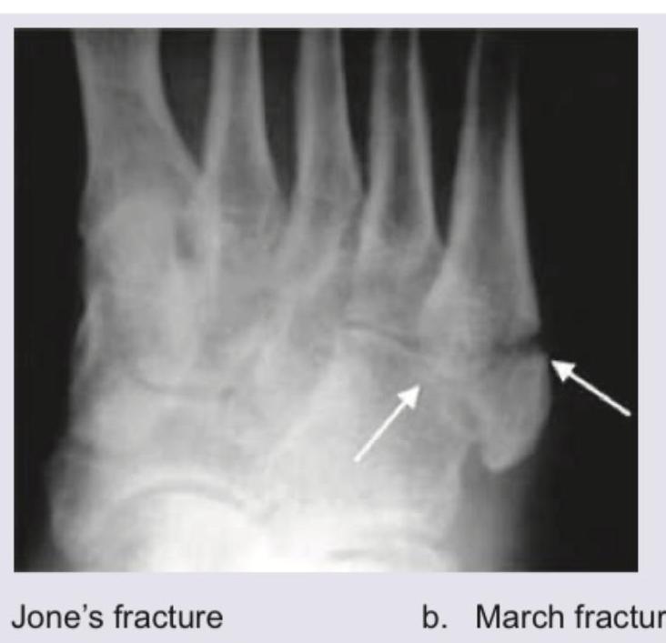 Image for question 9