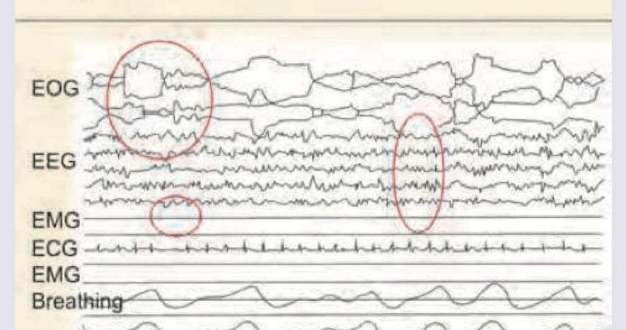 Image for question 10