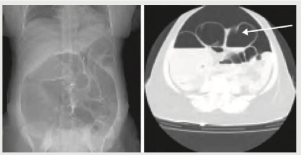 Image for question 559