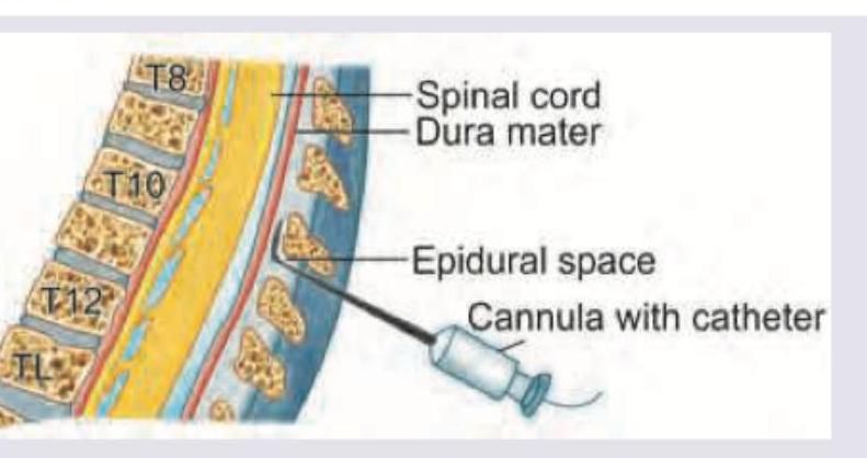 Image for question 7