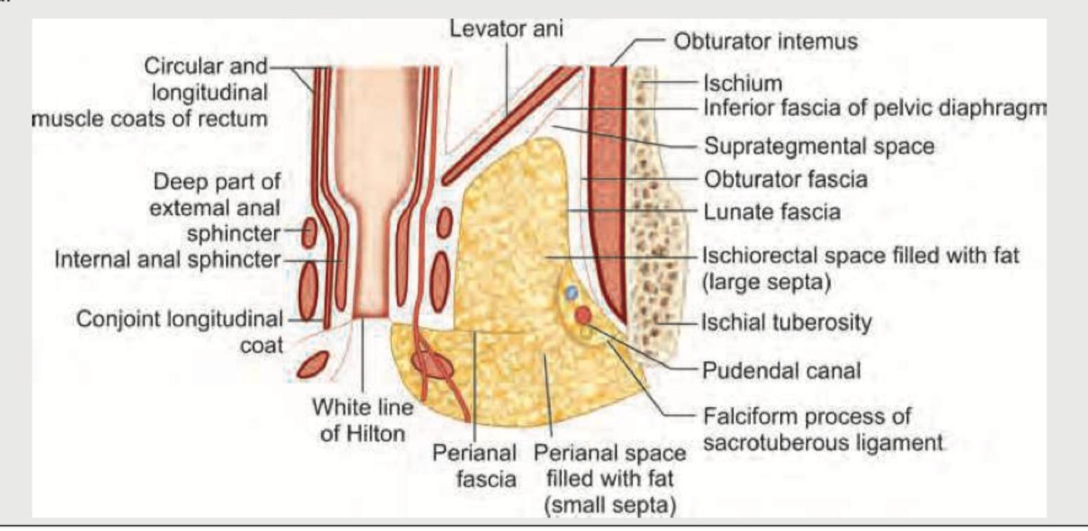 Image for question 505