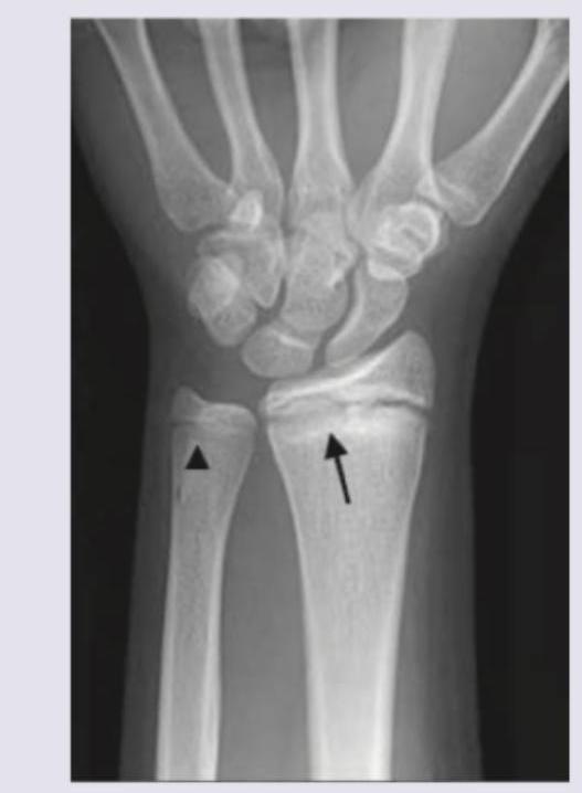 Image for question 15