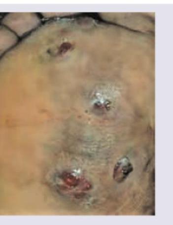 Image for question 55