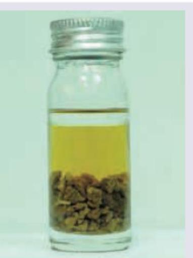 Image for question 23