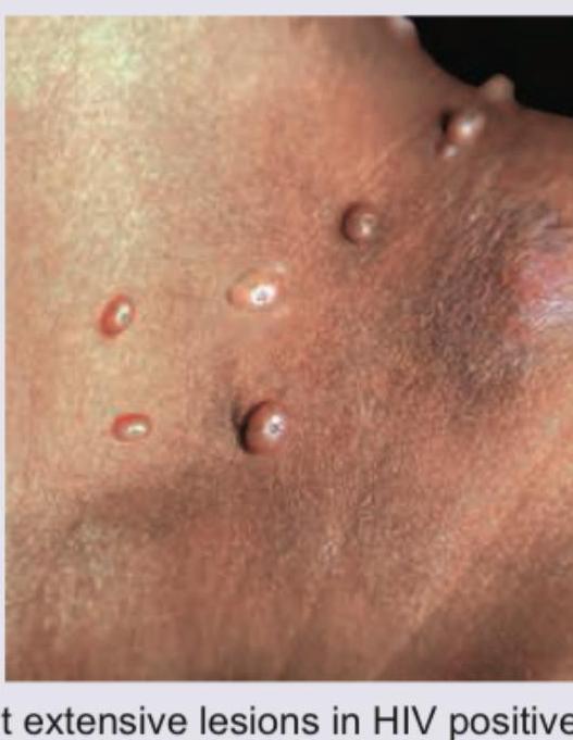 Image for question 5