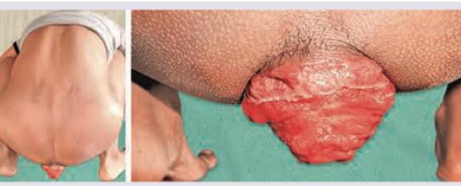 Image for question 246