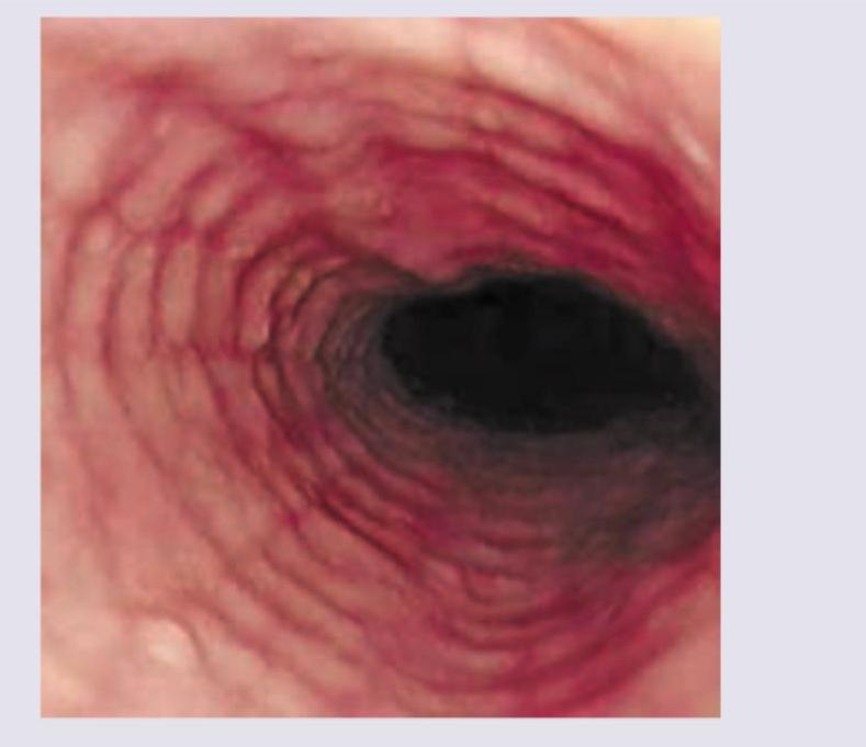 Image for question 7