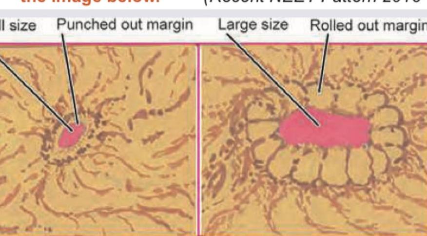 Image for question 458