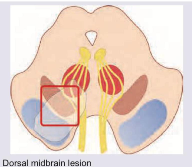 Image for question 34