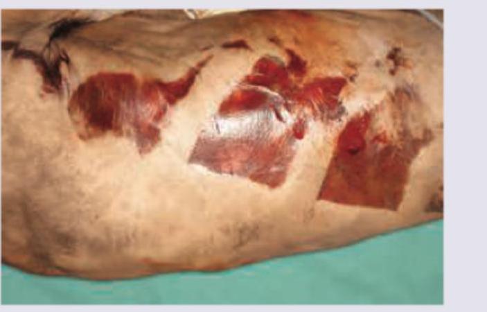 Image for question 504