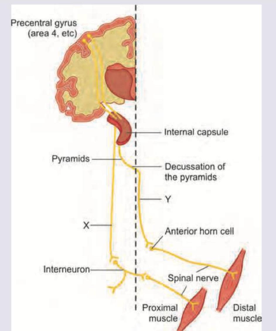 Image for question 349
