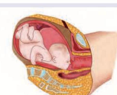 Image for question 6