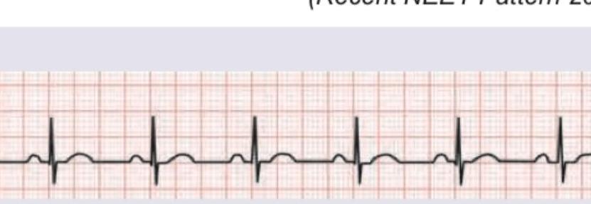 Image for question 10
