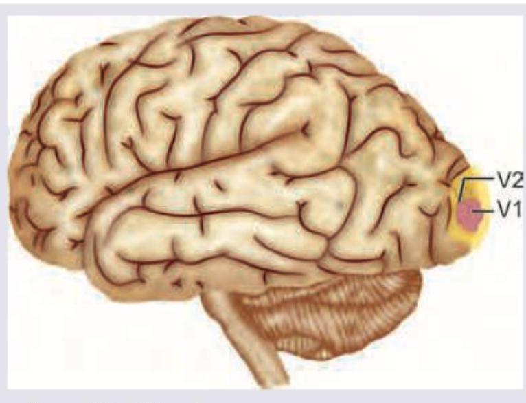 Image for question 358