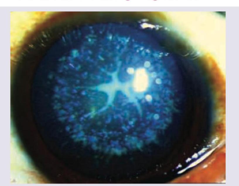 Image for question 247