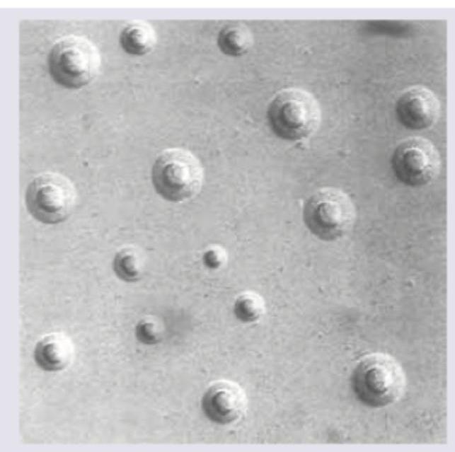 Image for question 2047