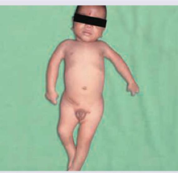 Image for question 53