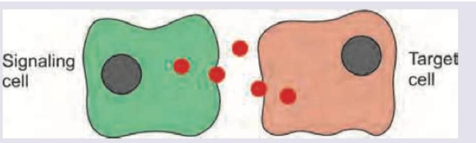 Image for question 7